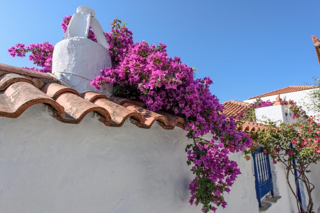 Villea Seaview Apartments Skopelos Buitenkant foto